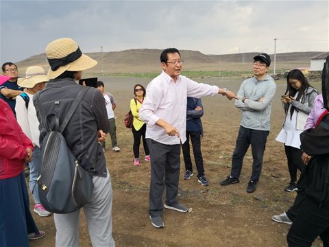 百家乐