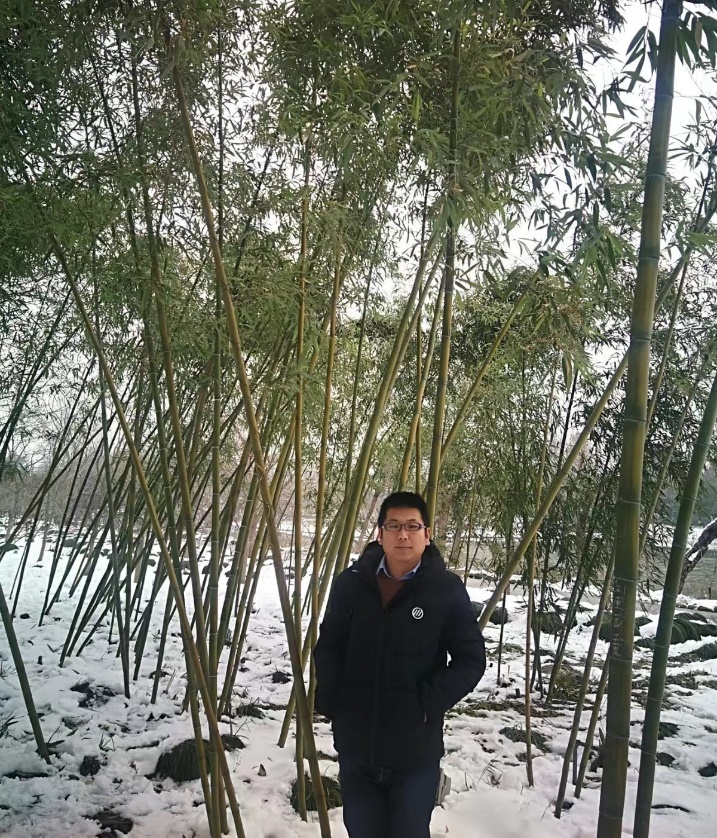 百家乐