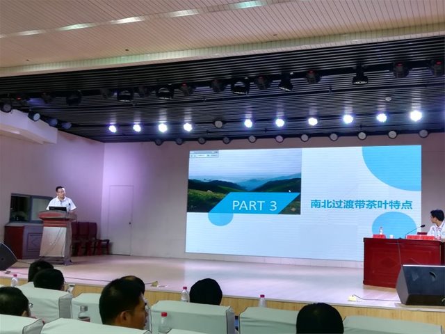 百家乐